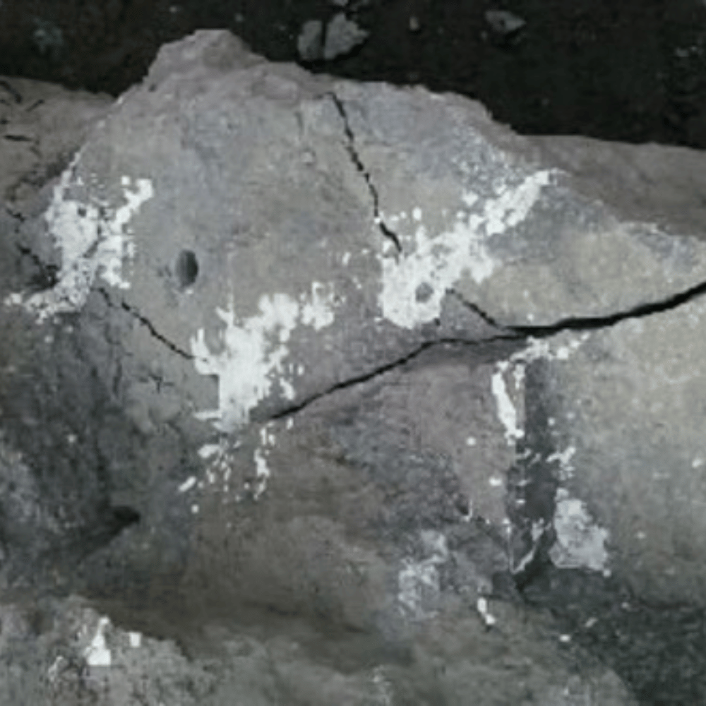 Untitled design (85)